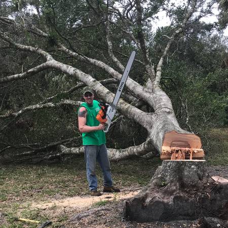 BRUSH CLEARING AND TREE REMOVAL/TRIMMING LIC. & INS.