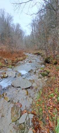 76 acres of land with stream upstate ny