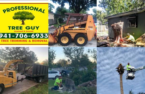 Tree service, tree trimming, tree removal, stump removal, hedge trim