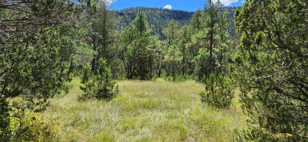 +/- 37.95 Acres in the Middle of Ruidoso—SELLER FINANCING AVAILABLE!