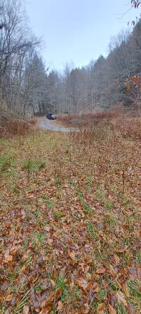 76 acres of land with stream upstate ny