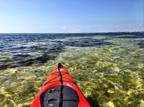 Beautiful 6br FL panhandle beach rental