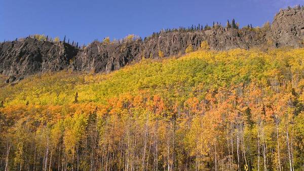 Building lot in Chitina close to Copper River