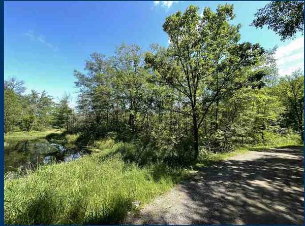 0.53 Acre Lot Next to Wetlands