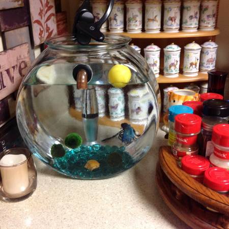 Large Fish Bowl with a “Vintage Look”