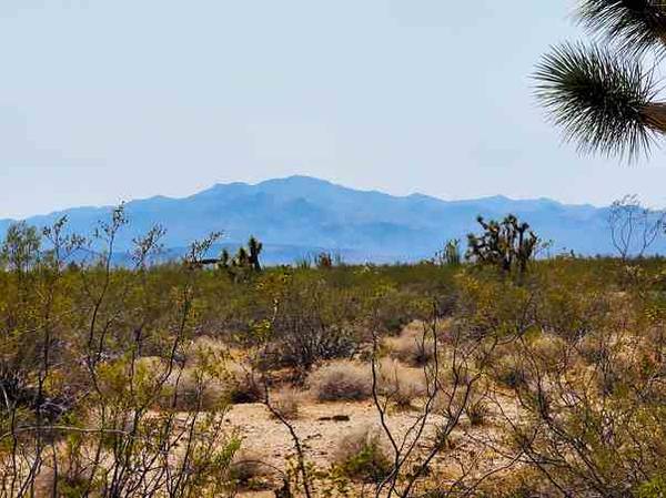 1.25 Acres Close to Kingman AND Grand Canyon West!