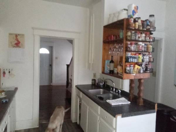 4 br house close to downtown and campus