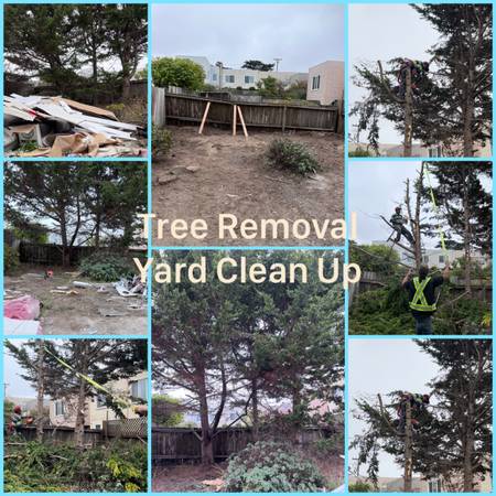 ??415-756-3437??TREE REMOVAL ? YARD CLEAN-UP?JUNK HAULING? DEMOLIT