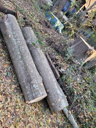 Need 2 large logs chopped/split