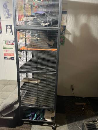 critter nation cage