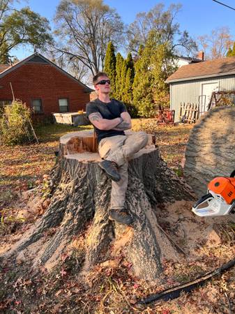 Tree Services Tree Removal / Tree Trimming / Stump Grinding