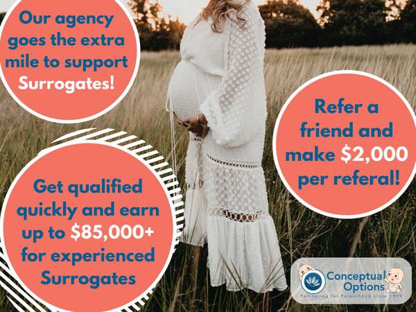 ??Moms Make $85,000+ Being a Surrogate From Home