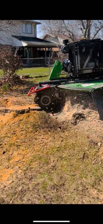 Tree Services Tree Removal / Tree Trimming / Stump Grinding