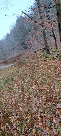 76 acres of land with stream upstate ny