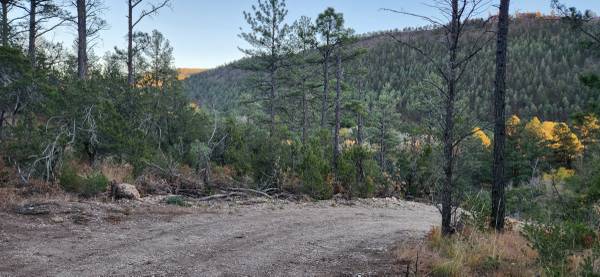 +/- 37.95 Acres in the Middle of Ruidoso—SELLER FINANCING AVAILABLE!