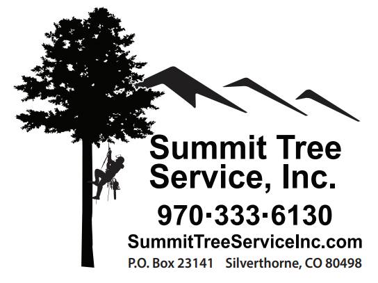 Arborist Services / Trees Cut Down & Bucked