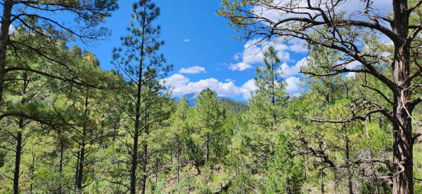 +/- 37.95 Acres in the Middle of Ruidoso—SELLER FINANCING AVAILABLE!