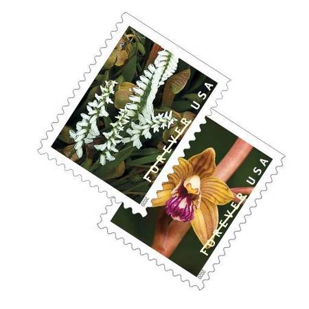 2020 Forever Stamps First Class Postage Stamps Wild Orchids 100pcs/Pac