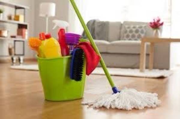 Dust to shine cleaning service