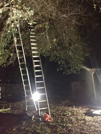 Tree Removal -Arborist- Hazardous Tree