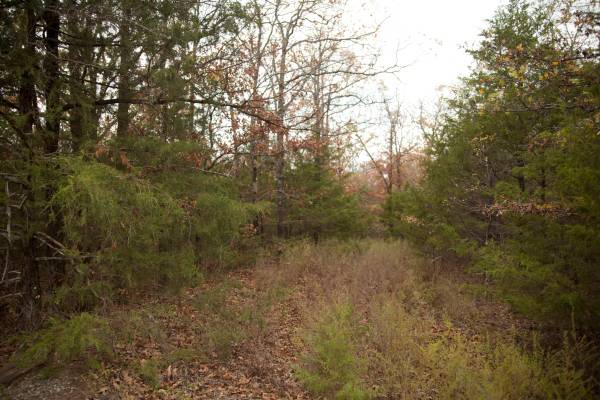 2.2 Acres Flat Land With Trees End Of Cul-de-sac