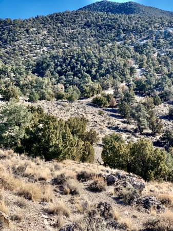 The Lucky Jim Mine/ 20 acre mining property/ Owner financing available