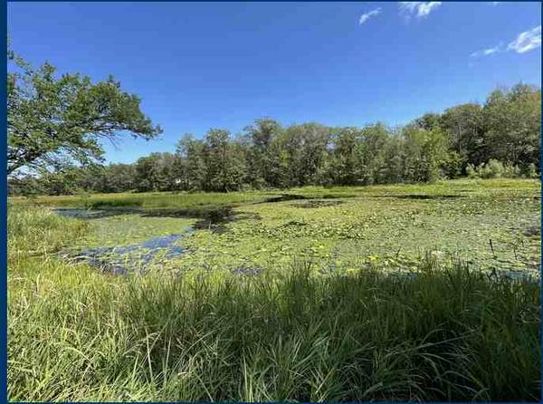 0.53 Acre Lot Next to Wetlands