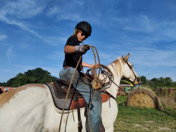 Traveling Horse Trainer