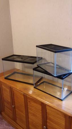 Small Cages with Screen Lids