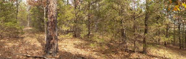 2.2 Acres Flat Land With Trees End Of Cul-de-sac