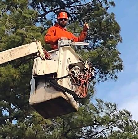 R&W Tree Service