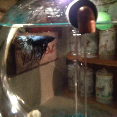 Large Fish Bowl with a “Vintage Look”