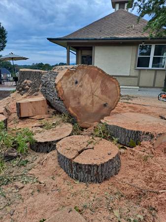 RAMOS AND SON’S TREE & LANDSCAPING SERVICE