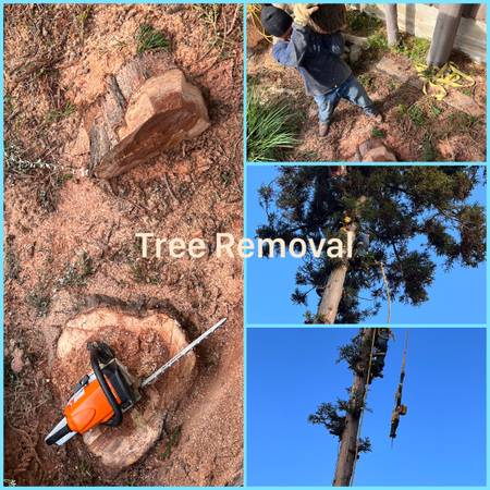 ??415-756-3437??TREE REMOVAL ? YARD CLEAN-UP?JUNK HAULING? DEMOLIT