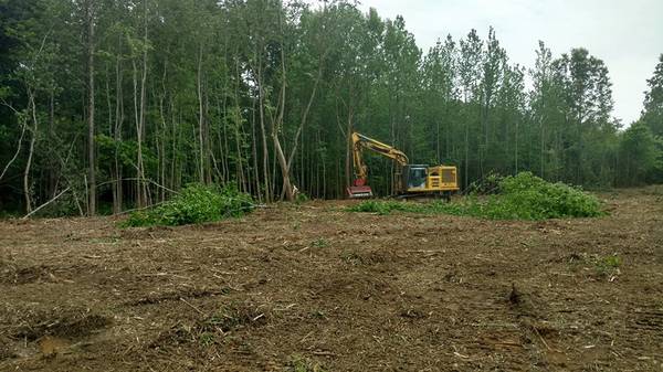 Land Clearing/Forestry Mulching