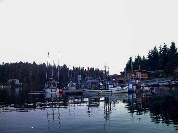 Island in Point Baker