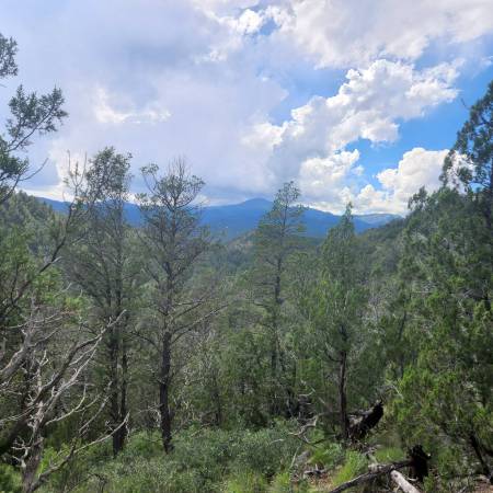 +/- 37.95 Acres in the Middle of Ruidoso—SELLER FINANCING AVAILABLE!