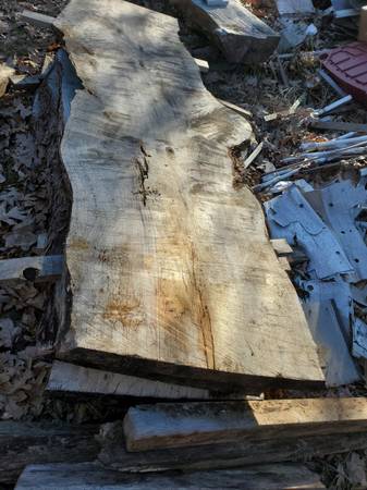 Large 3″ slab of Spalted Maple Log