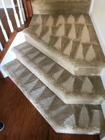 PROFESSIONAL CARPET CLEANING & SERVICES!