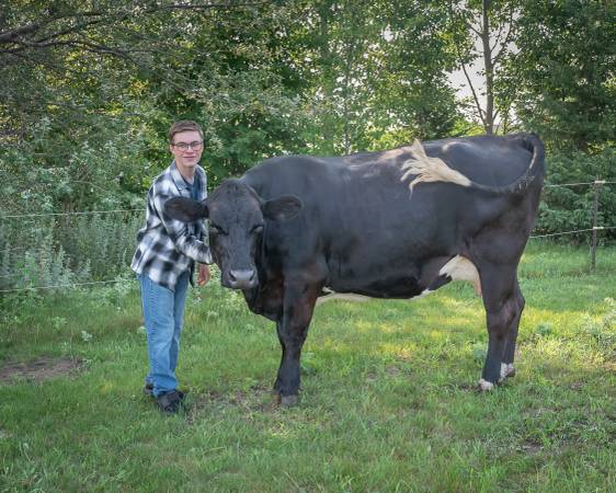 Hobby Farm/Beef/Nurse/Milk Cow