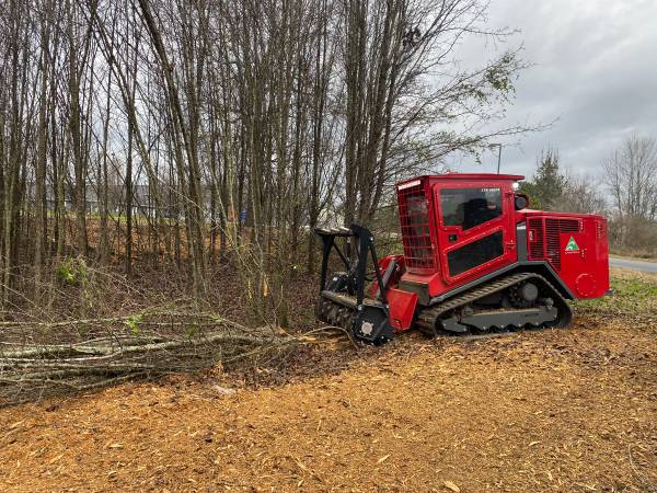 Forestry Mulching, Excavation, Land Clearing