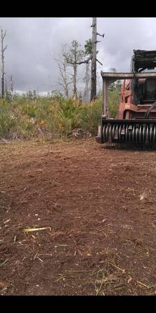 Forestry mulching & land clearing & under brush removal