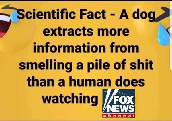 FOX NEWS Complaining no other media runs their stories …