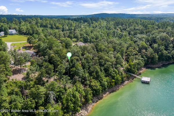 1 ACRE WATERFRONT LOT ON LEWIS SMITH LAKE