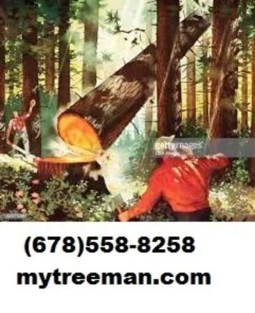 ?? Estimate FREE~TREE CUT 678-558-8258 Removal Service’s www.mytreeman