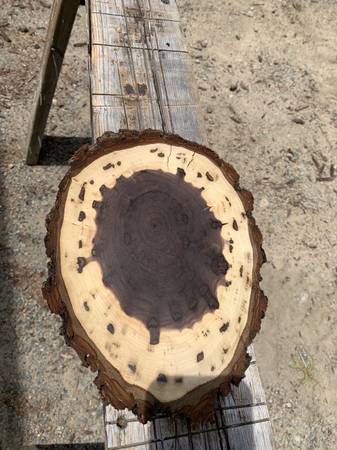 Walnut Wood cookies/ovals