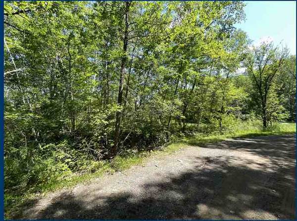 0.53 Acre Lot Next to Wetlands