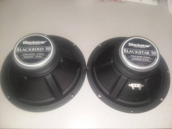 Blackstar Celestion Blackbird 12″ Speakers