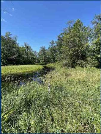 0.53 Acre Lot Next to Wetlands