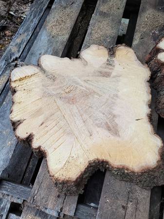 Cool, unique, Applewood slice